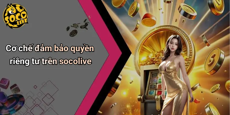 quyền riêng tư 2 Quyền Riêng Tư