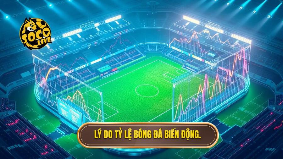 3. Lý do tỷ lệ bóng đá biến động.