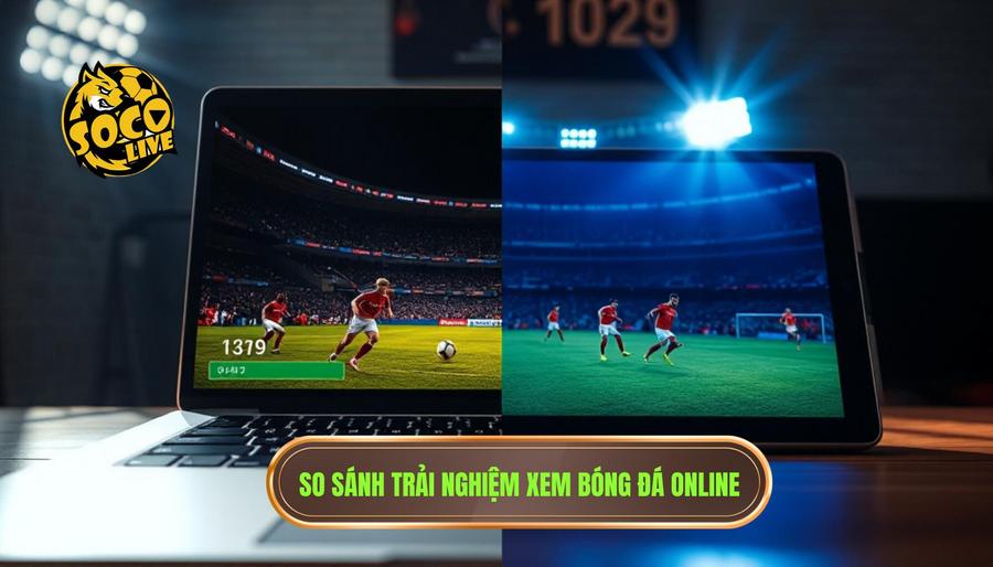 Tại sao nên chọn Socolive trực tiếp bóng đá Việt Nam tại olddayssafaris.com?