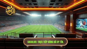 socolive trực tiếp bóng đá Việt Nam
