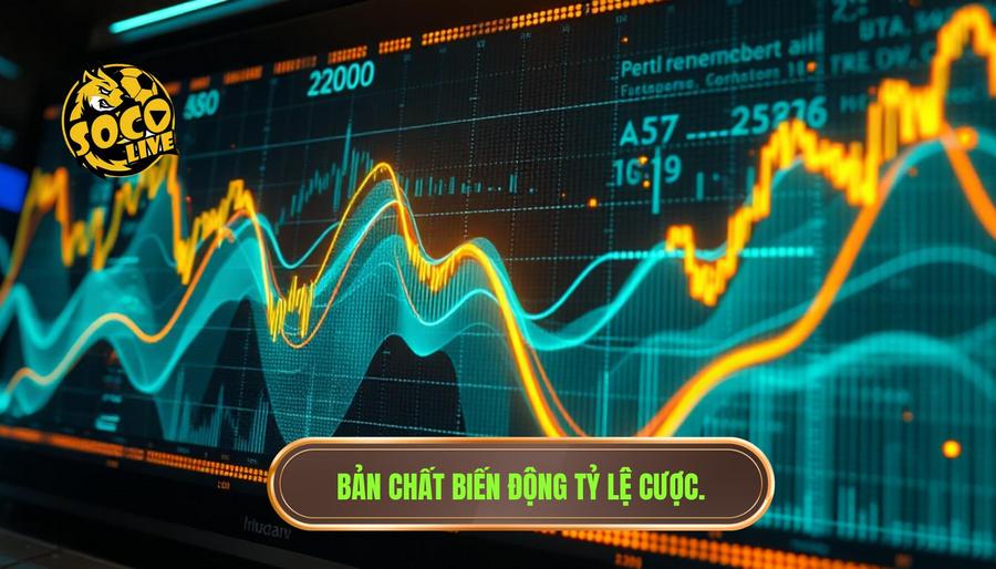 Hiểu bản chất của sự biến động tỷ lệ cược