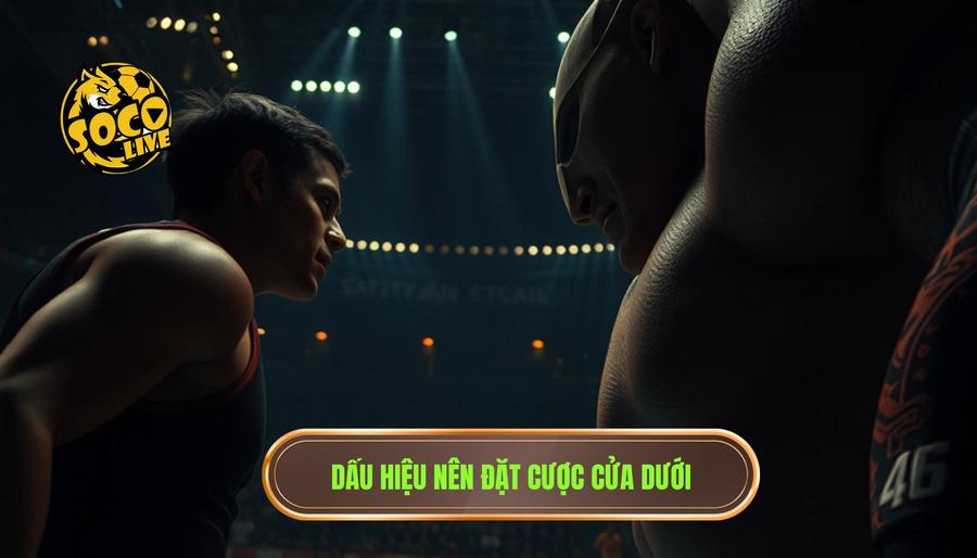 Dấu hiệu nhận biết khi nào nên theo cửa dưới