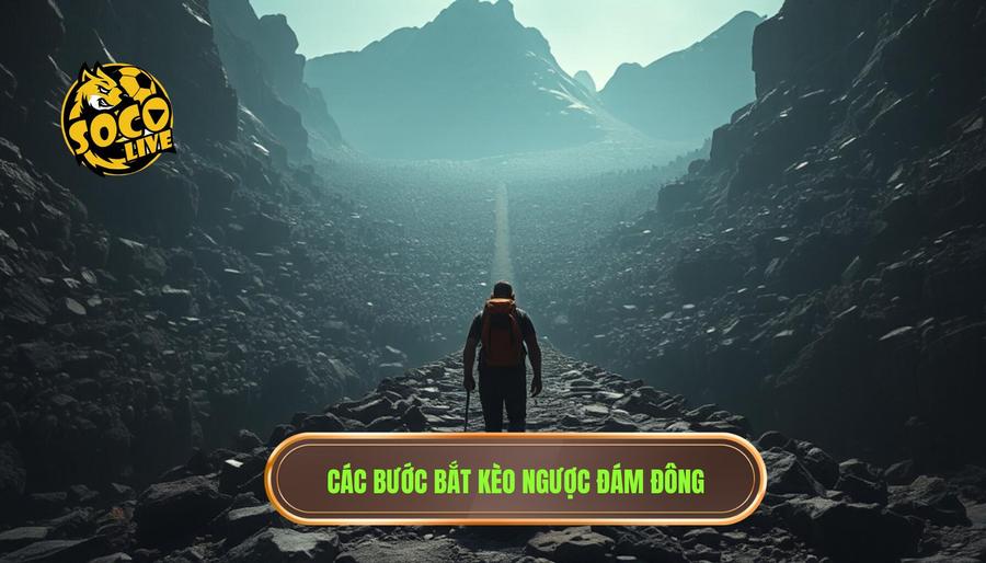 Các bước triển khai kinh nghiệm bắt kèo ngược đám đông chi tiết