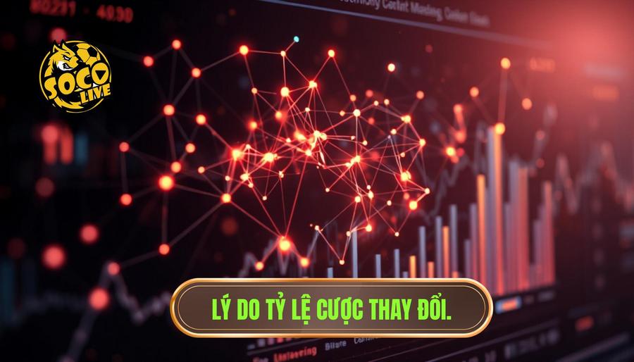 Phân tích đa chiều: Tại sao tỷ lệ cược lại thay đổi?